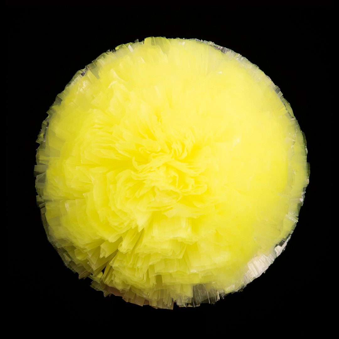 Neon Yellow (01)